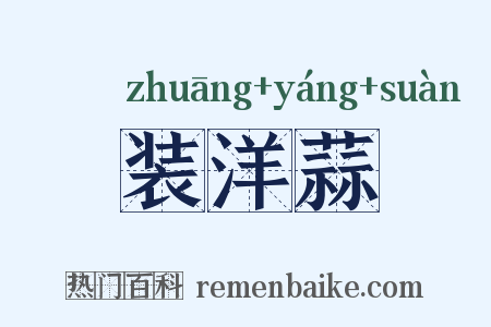 装洋蒜是什么意思的图片